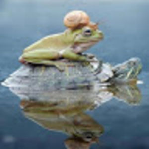 Meet your Posher, Jenny